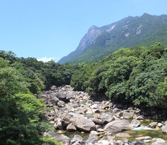 周辺写真鯛ノ川下流