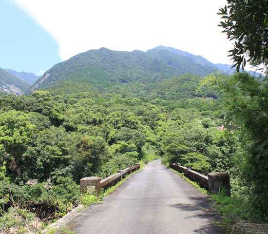 周辺写真鯛ノ川橋