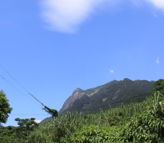 土地よりの眺望