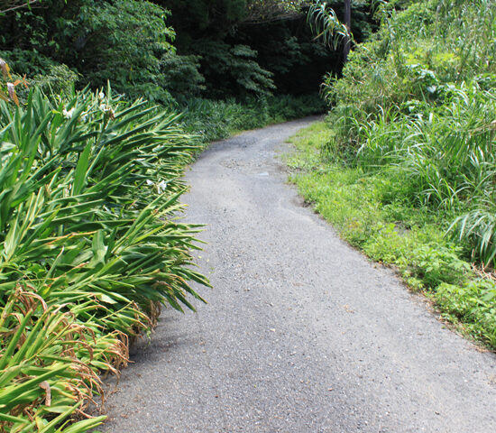 現地写真2南より