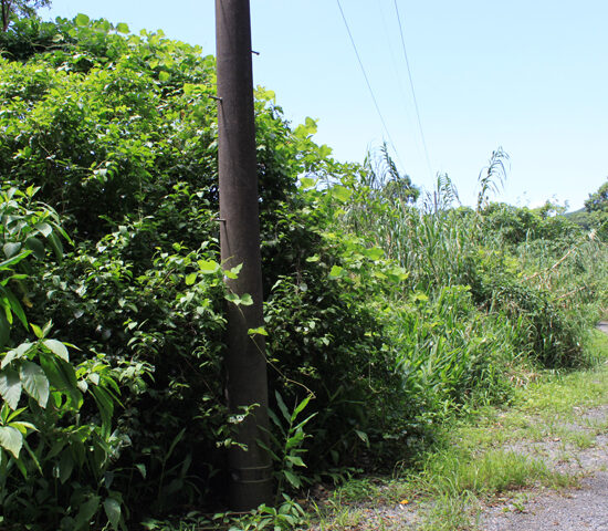 現地写真2北より