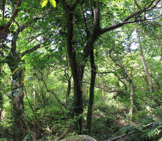 現地写真3北より