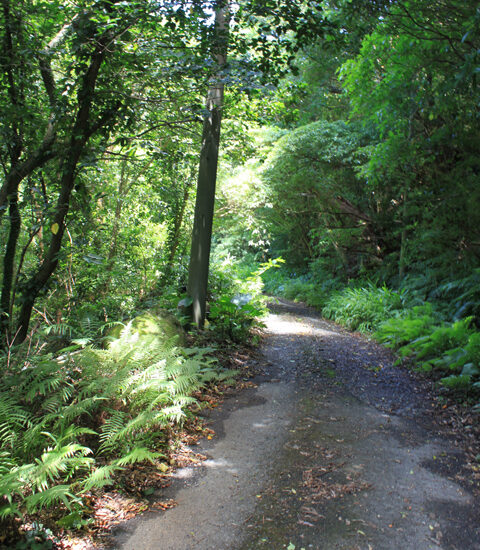 現地写真5北より