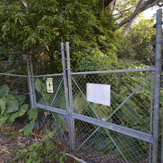 MG-260035【麦生売地】<em>新着物件</em>