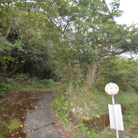 現地写真01