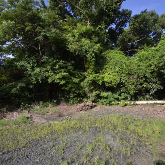 ON-250037【尾之間売地】