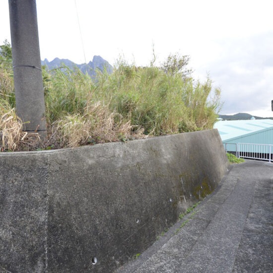 現地写真05