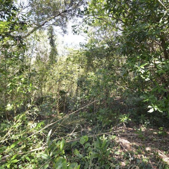 現地写真坂上04