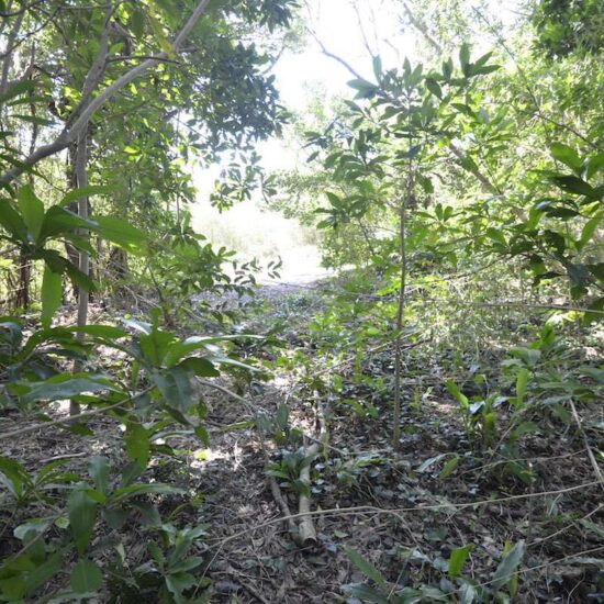 現地写真坂上02