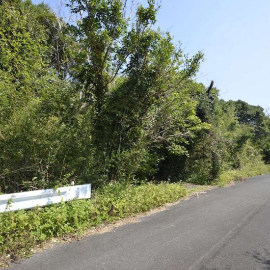 現地写真坂上07