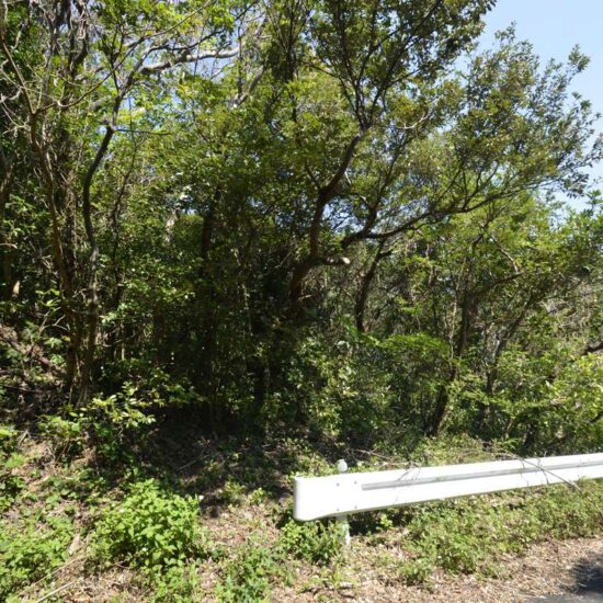 現地写真坂上07