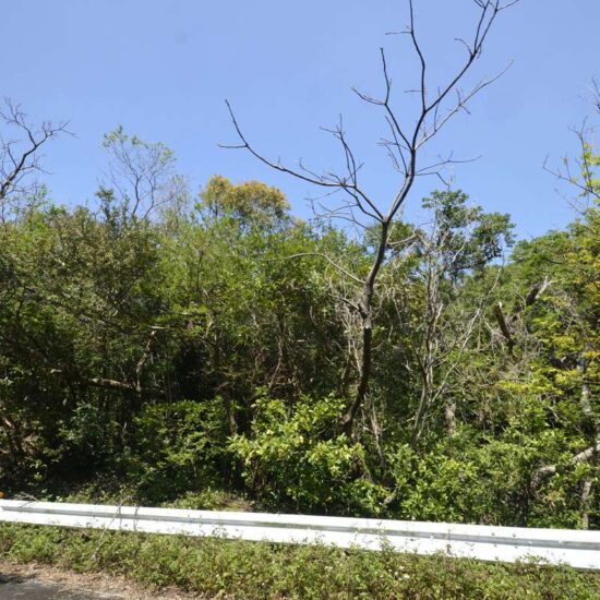 現地写真坂上06