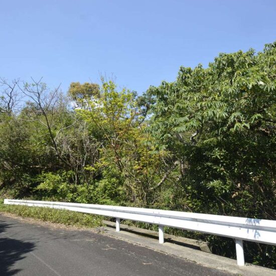 現地写真坂上05