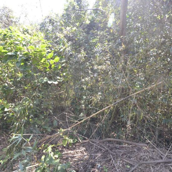 現地写真坂上04