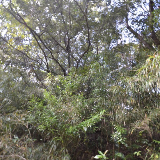 C区画 現地写真02