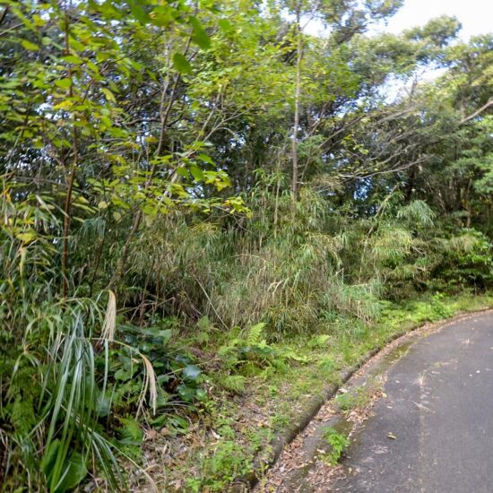 B区画 現地写真01