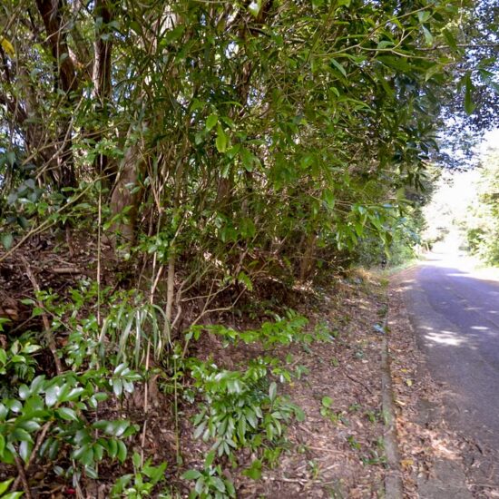 B区画 現地写真02