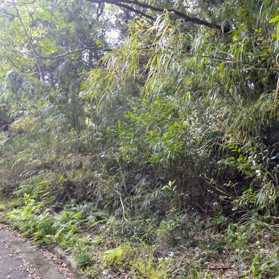 B区画 現地写真03