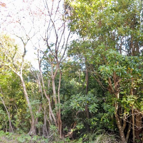 D区画 現地写真01