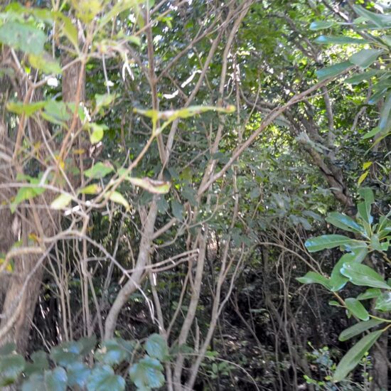 D区画 現地写真02