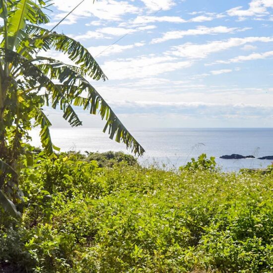 A区画 現地景観02