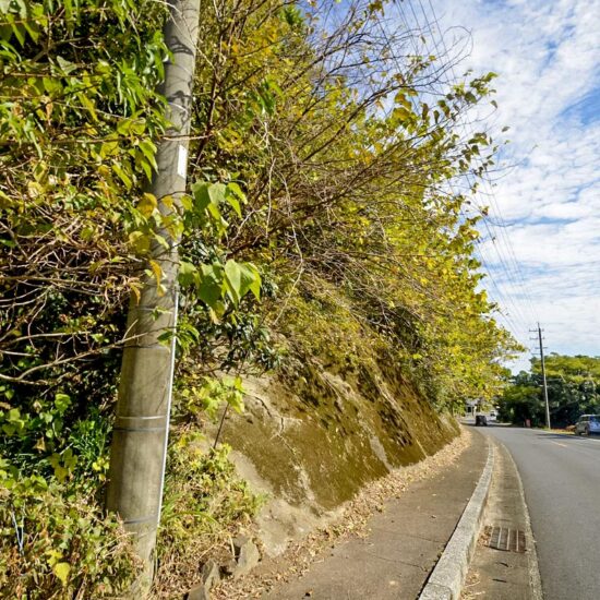 A区画 現地写真02