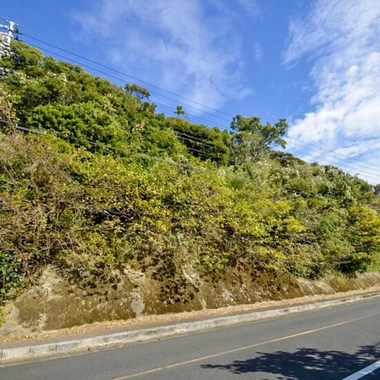 YD-260012【湯泊売地】<dfn>特選物件・セット販売</dfn>