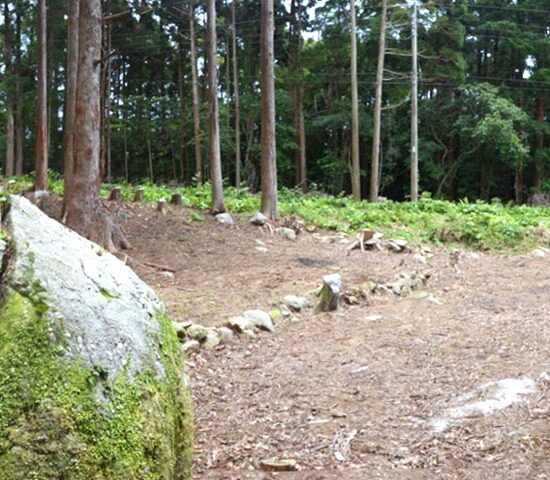 現地写真　海側より2