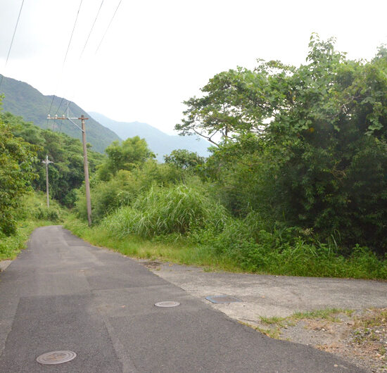 現地写真　農道から01