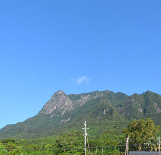 物件からの眺望