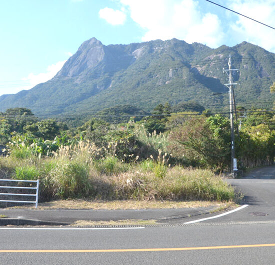 物件付近の景色
