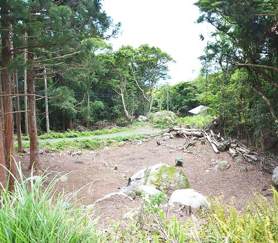 現地写真　山側より2