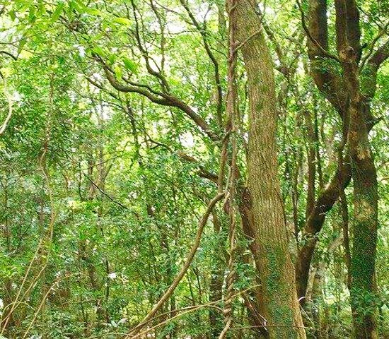 土地に向かって３