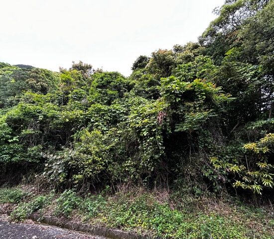 現地写真4