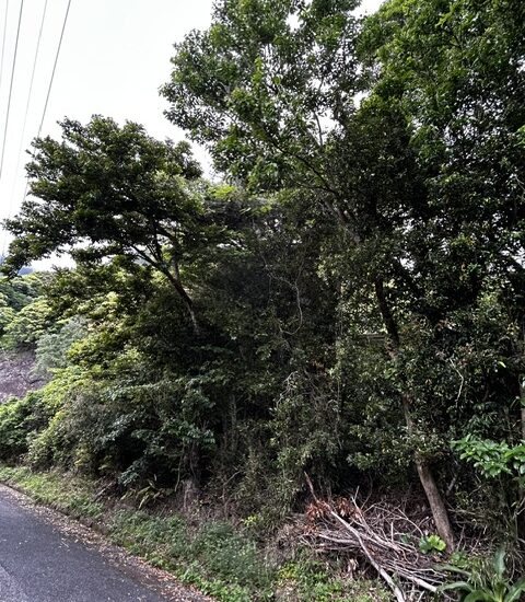 現地写真7