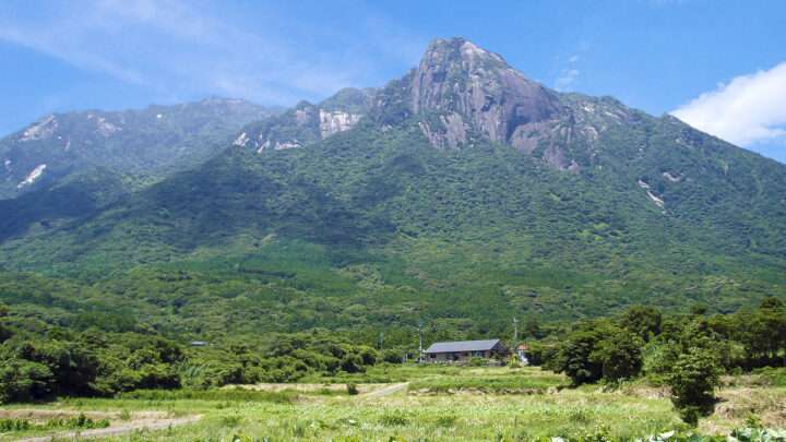 モッチョム岳