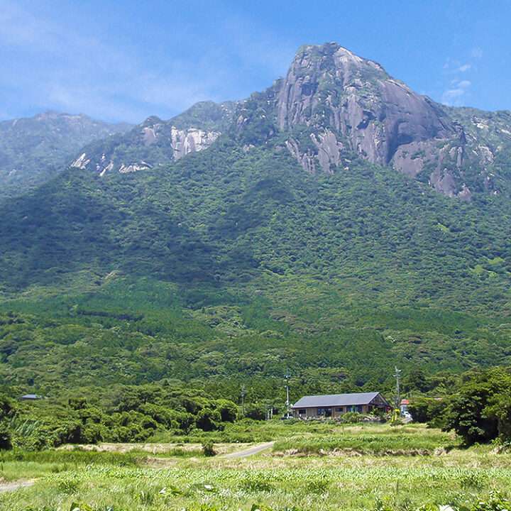 モッチョム岳