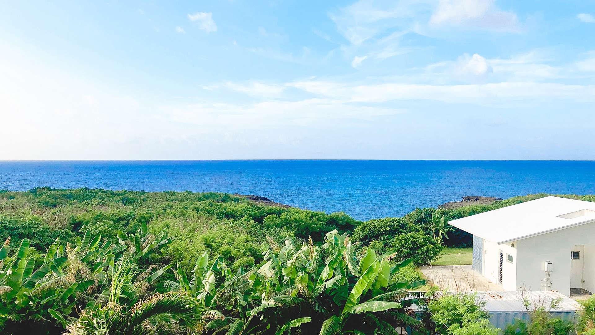 オーシャンビュー白い建物