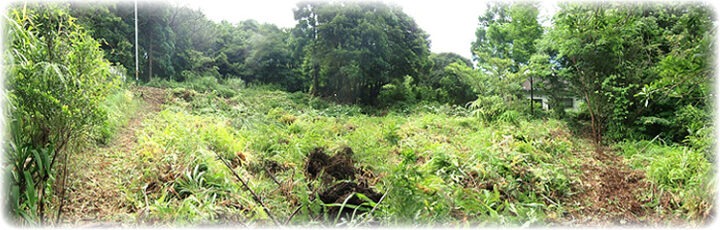 整備されていない土地