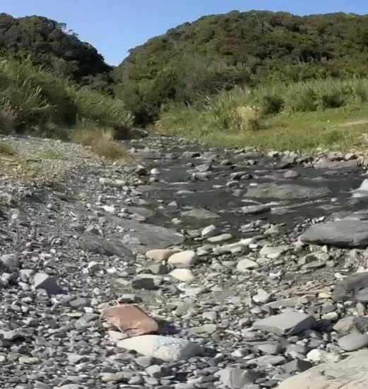 現地写真5